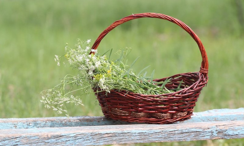 Обои фон, корзина, полевые цветы, лавочка, тысячелистник, background, basket, wildflowers, shop, yarrow разрешение 1920x1280 Загрузить