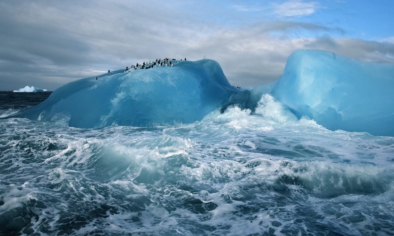 Обои океан, антарктида, пингвины, ледник, the ocean, antarctica, penguins, glacier разрешение 3200x2000 Загрузить