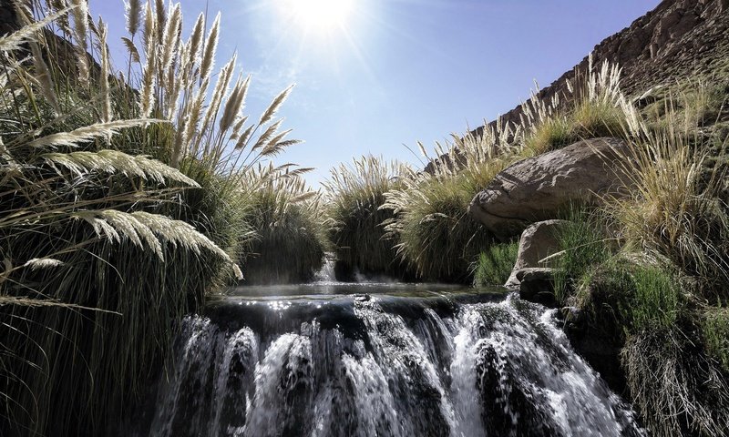 Обои солнце, водопад, травы, the sun, waterfall, grass разрешение 2048x1258 Загрузить