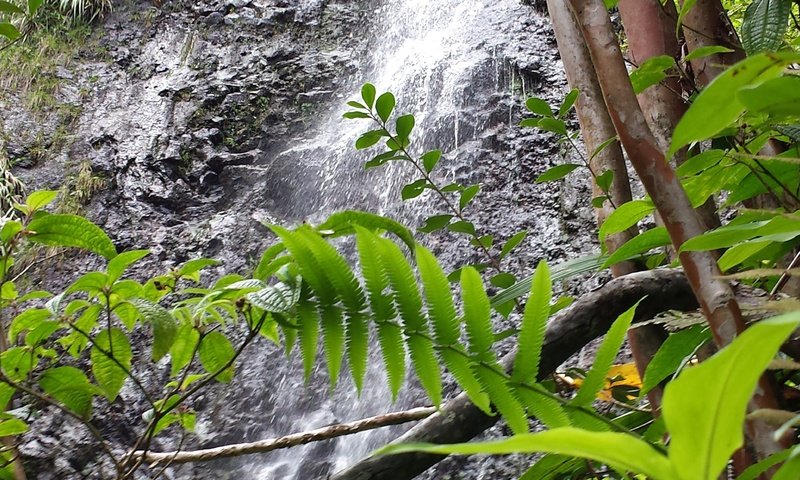 Обои водопад, waterfall разрешение 4128x2322 Загрузить