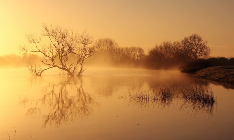 Обои река, природа, пейзаж, утро, туман, рассвет, river, nature, landscape, morning, fog, dawn разрешение 1920x1200 Загрузить