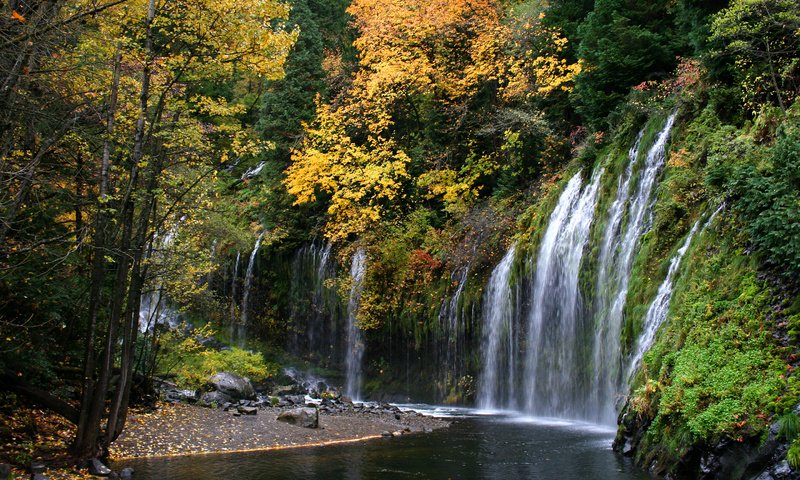 Обои река, природа, лес, водопад, осень, river, nature, forest, waterfall, autumn разрешение 2880x1800 Загрузить