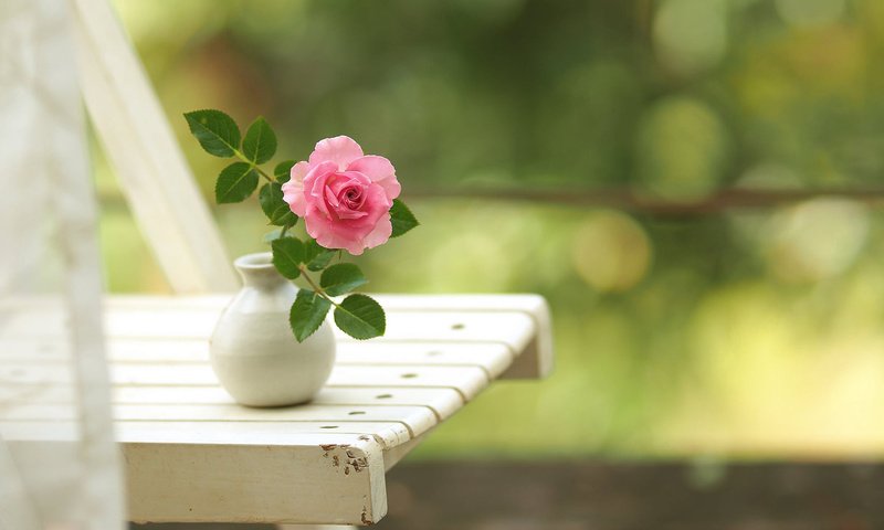 Обои цветок, роза, стул, ваза, боке, вазочка, flower, rose, chair, vase, bokeh разрешение 1920x1200 Загрузить