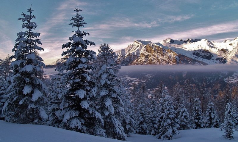 Обои горы, природа, лес, зима, пейзаж, mountains, nature, forest, winter, landscape разрешение 1920x1200 Загрузить