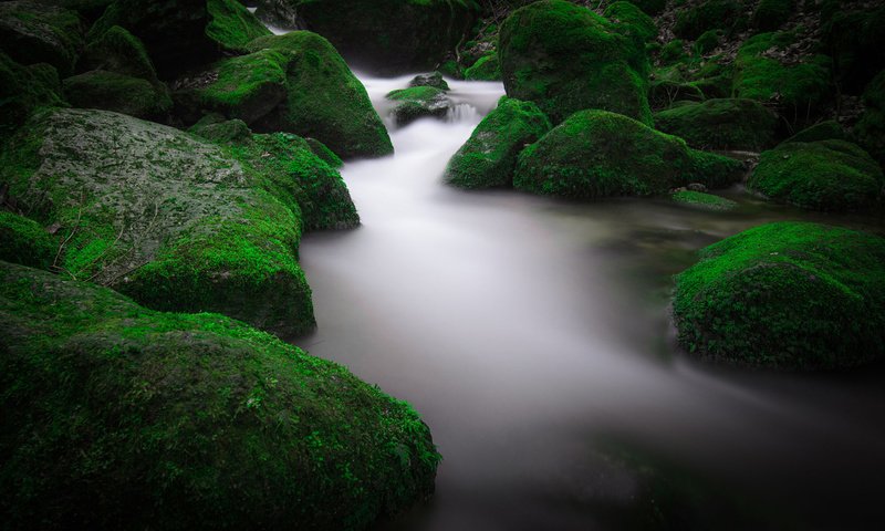 Обои вода, река, природа, камни, мох, water, river, nature, stones, moss разрешение 1920x1200 Загрузить