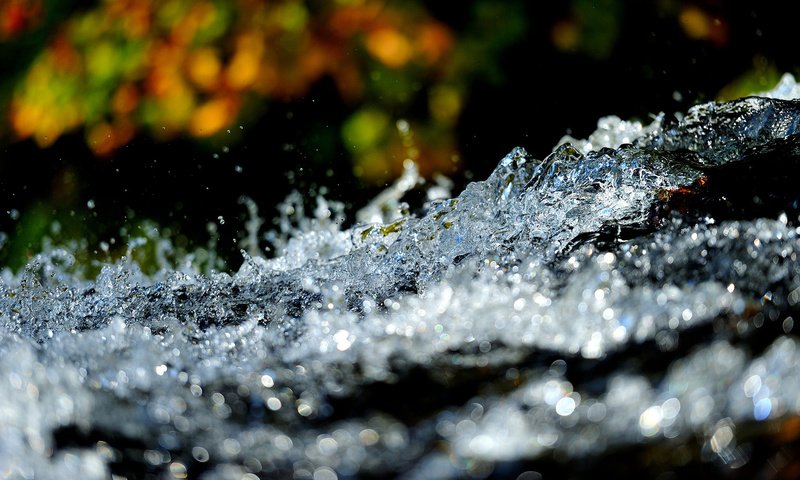 Обои вода, природа, макро, фон, брызги, water, nature, macro, background, squirt разрешение 1920x1200 Загрузить