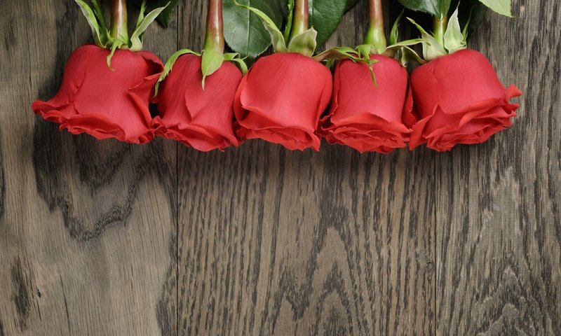 Обои цветы, розы, букет, красные розы, flowers, roses, bouquet, red roses разрешение 2880x1800 Загрузить