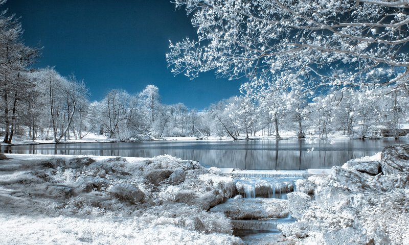 Обои небо, деревья, озеро, природа, зима, парк, иней, the sky, trees, lake, nature, winter, park, frost разрешение 1920x1200 Загрузить