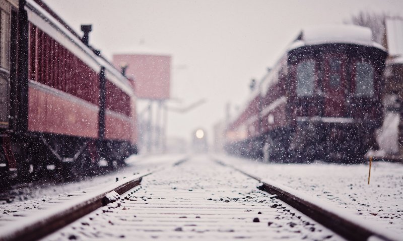Обои снег, железная дорога, рельсы, зима, поезда, поезд, снегопад, snow, railroad, rails, winter, trains, train, snowfall разрешение 1920x1200 Загрузить