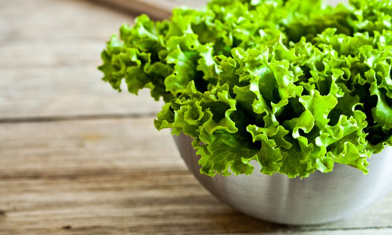 Обои еда, салат, миска, зеленый салат, food, salad, bowl, green salad разрешение 5616x3744 Загрузить