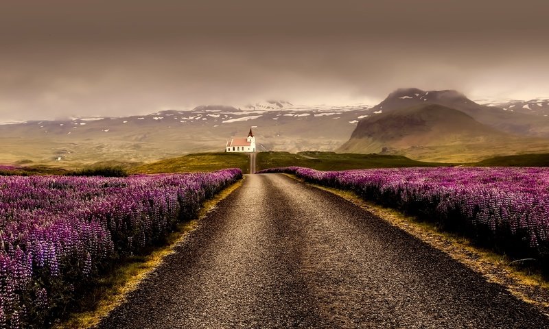 Обои дорога, горы, тучи, поля, лаванда, горизонт, гора, исландия, road, mountains, clouds, field, lavender, horizon, mountain, iceland разрешение 2000x1333 Загрузить