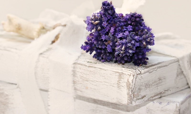 Обои цветы, лаванда, книги, лента, flowers, lavender, books, tape разрешение 5184x3135 Загрузить