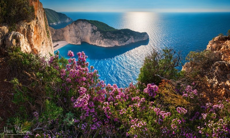 Обои цветы, скалы, море, побережье, греция, бухта навайо, navagio beach, остров закинф, навайо, shipwreck, flowers, rocks, sea, coast, greece, bay of navagio, island of zakynthos разрешение 1920x1089 Загрузить