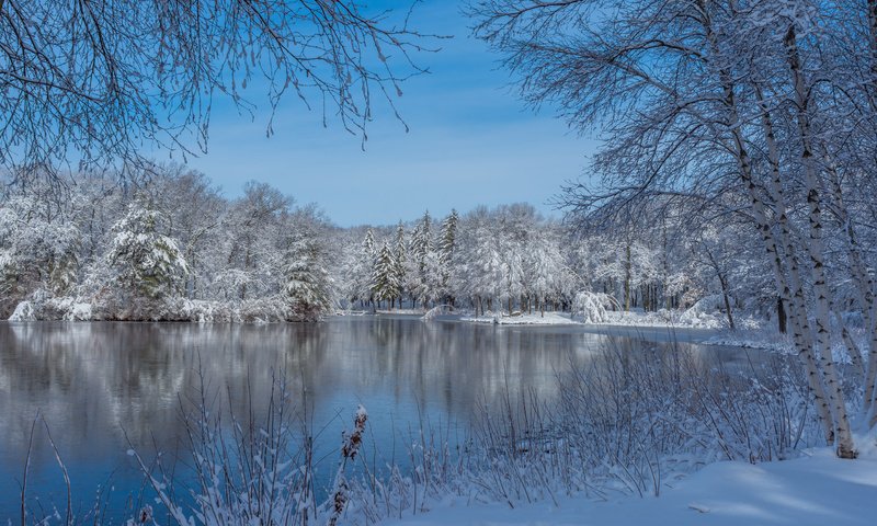 Обои озеро, штат массачусетс, снег, природа, дерево, зима, пейзаж, парк, сша, lake, massachusetts, snow, nature, tree, winter, landscape, park, usa разрешение 5763x3842 Загрузить