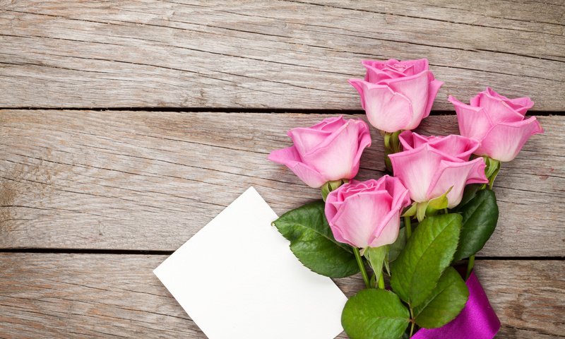 Обои розы, букет, лента, roses, bouquet, tape разрешение 5616x3744 Загрузить