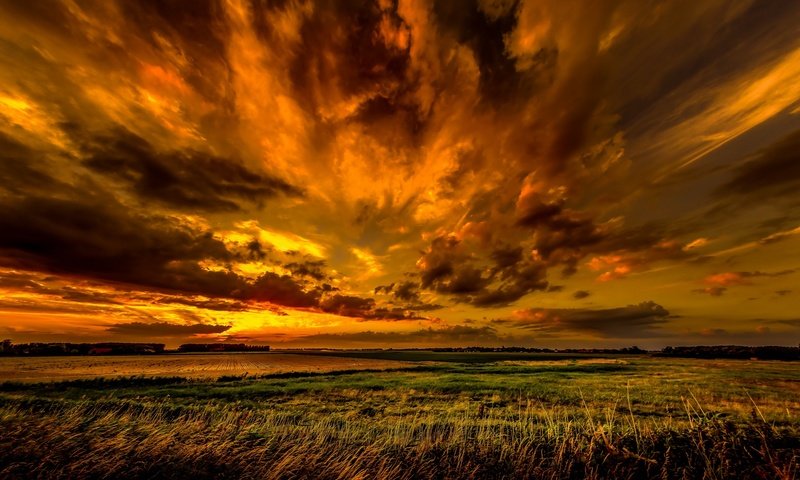 Обои небо, облака, природа, закат, поле, горизонт, the sky, clouds, nature, sunset, field, horizon разрешение 2651x1440 Загрузить