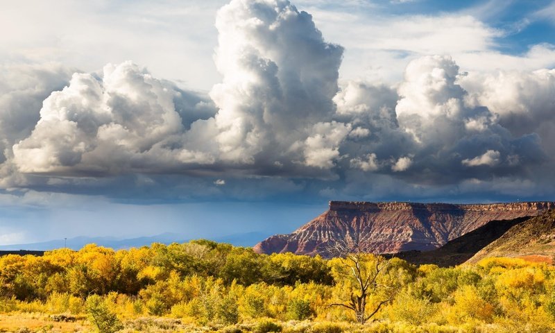 Обои небо, холм, облака, долина, природа, zion national park, горный хребет, пейзаж, поле, горизонт, луг, пастбище, the sky, hill, clouds, valley, nature, mountain range, landscape, field, horizon, meadow, pasture разрешение 2048x1365 Загрузить