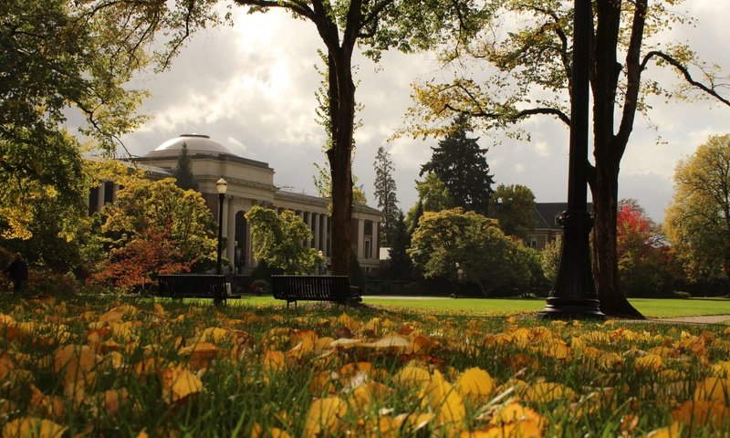 Обои трава, листья, парк, осень, здание, орегон, старое здание, grass, leaves, park, autumn, the building, oregon, the old building разрешение 5184x3456 Загрузить