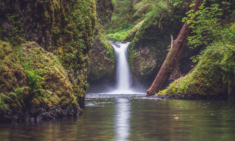 Обои вода, punchbowl falls, columbia river gorge, река, природа, растения, лес, водопад, поток, джунгли, water, river, nature, plants, forest, waterfall, stream, jungle разрешение 2000x1333 Загрузить