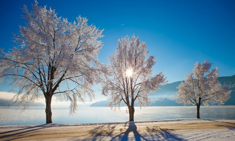 Обои деревья, озеро, природа, зима, норвегия, trees, lake, nature, winter, norway разрешение 1920x1200 Загрузить