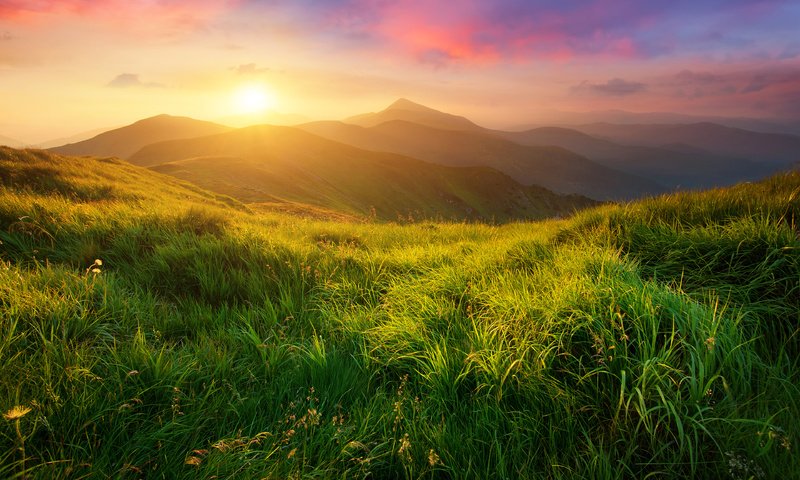 Обои трава, солнце, холмы, природа, пейзаж, луга, biletskyi ievgenii, grass, the sun, hills, nature, landscape, meadows, biletskyi use разрешение 3840x2400 Загрузить