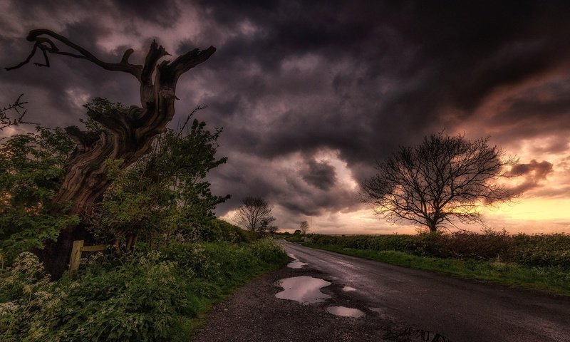 Обои дорога, облака, дерево, тучи, пейзаж, лужа, road, clouds, tree, landscape, puddle разрешение 2048x1267 Загрузить