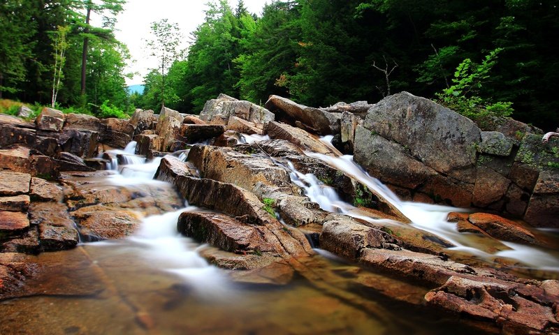 Обои деревья, камни, поток, речка, trees, stones, stream, river разрешение 5184x3456 Загрузить