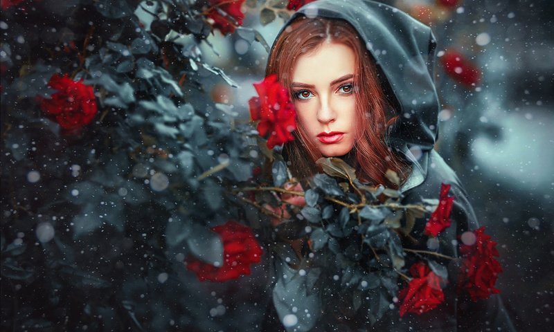 Обои снег, девушка, розы, взгляд, модель, капюшон, рыжеволосая, ольга бойко, snow, girl, roses, look, model, hood, redhead, olga boyko разрешение 1920x1280 Загрузить