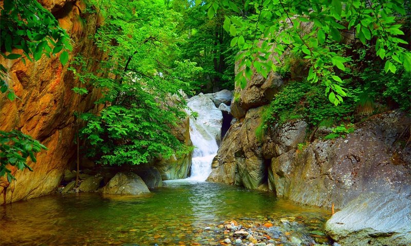 Обои скалы, природа, ветки, водопад, поток, rocks, nature, branches, waterfall, stream разрешение 3002x1871 Загрузить