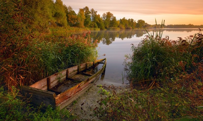 Обои деревья, озеро, растения, лес, лодка, камыши, nikonzoom, trees, lake, plants, forest, boat, the reeds разрешение 2560x1627 Загрузить