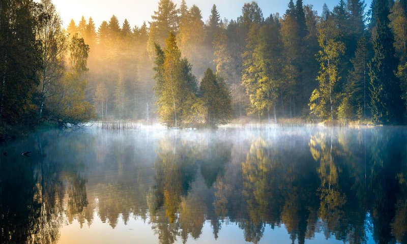 Обои деревья, финляндия, озеро, лес, отражение, утро, туман, рассвет, осень, trees, finland, lake, forest, reflection, morning, fog, dawn, autumn разрешение 2048x1492 Загрузить