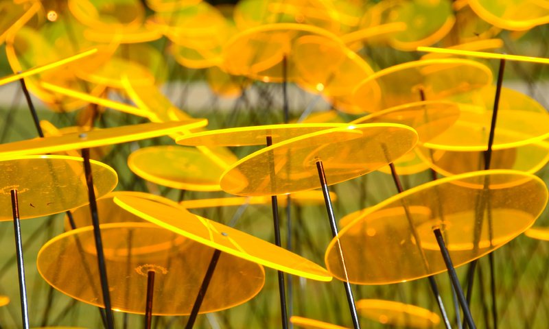 Обои желтый, сад, пластины, круг, диск, скульптура, yellow, garden, plate, round, disk, sculpture разрешение 3840x2400 Загрузить