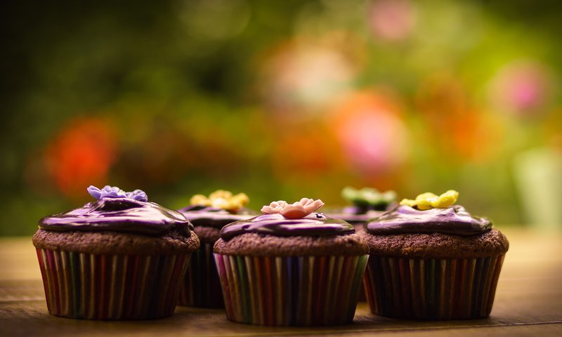 Обои шоколад, выпечка, кексы, кексики, крем, chocolate, cakes, cupcakes, cream разрешение 2560x1440 Загрузить