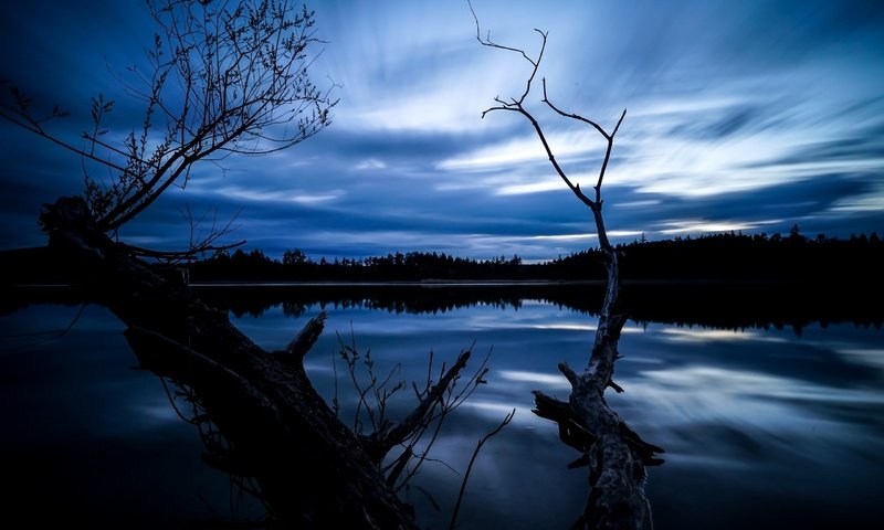 Обои ночь, деревья, озеро, отражение, night, trees, lake, reflection разрешение 2560x1707 Загрузить