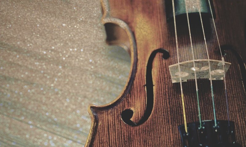 Обои скрипка, музыка, струны, музыкальный инструмент, violin, music, strings, musical instrument разрешение 5632x4000 Загрузить