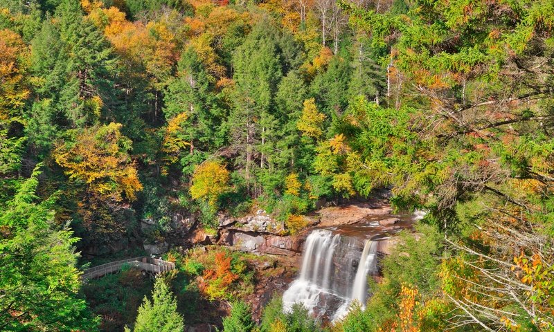 Обои деревья, лес, водопад, осень, trees, forest, waterfall, autumn разрешение 4000x2667 Загрузить