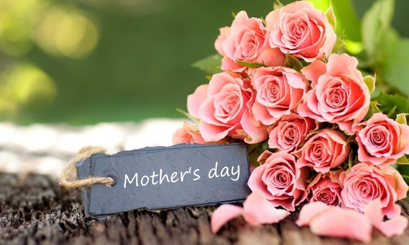 Обои цветы, розы, букет, розовый, праздник, день матери, flowers, roses, bouquet, pink, holiday, mother's day разрешение 1920x1080 Загрузить