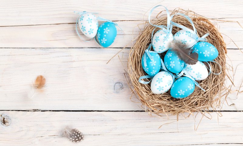 Обои пасха, корзинка, гнездо, яйца крашеные, . весна, easter, basket, socket, the painted eggs, . spring разрешение 5616x3744 Загрузить