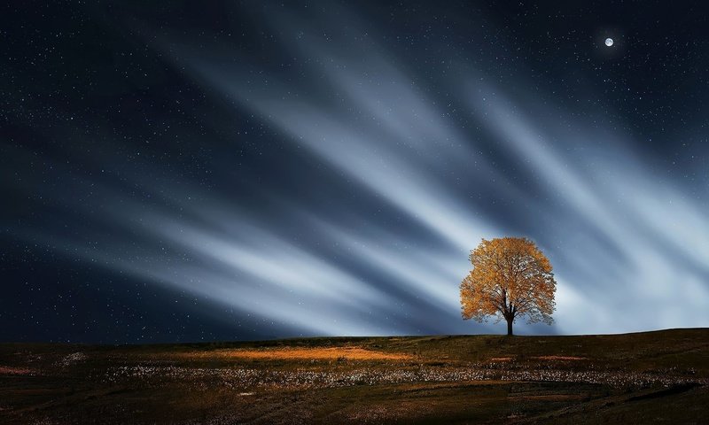 Обои ночь, природа, дерево, пейзаж, звезды, луна, night, nature, tree, landscape, stars, the moon разрешение 1920x1249 Загрузить