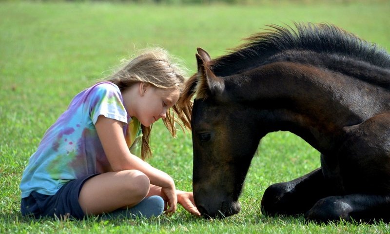 Обои лошадь, трава, дети, девочка, животное, друзья, жеребенок, horse, grass, children, girl, animal, friends, foal разрешение 1920x1177 Загрузить