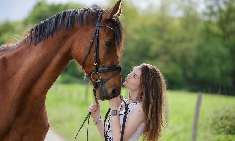 Обои лошадь, девушка, профиль, конь, грива, друзья, horse, girl, profile, mane, friends разрешение 2000x1333 Загрузить