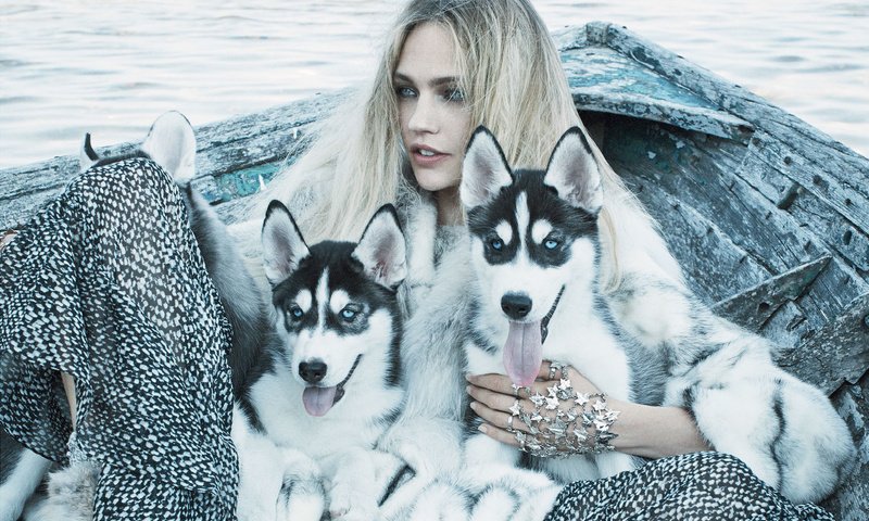 Обои девушка, блондинка, модель, хаски, щенки, vogue, саша пивоварова, girl, blonde, model, husky, puppies, sasha pivovarova разрешение 2317x1552 Загрузить