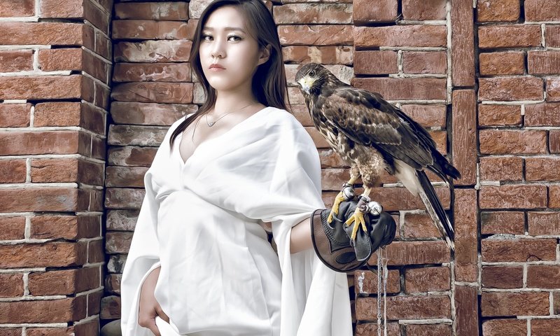 Обои девушка, поза, взгляд, птица, волосы, азиатка, сокол, girl, pose, look, bird, hair, asian, falcon разрешение 2048x1291 Загрузить