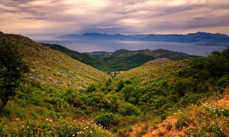 Обои небо, lakones, цветы, трава, облака, горы, холмы, греция, керкира, the sky, flowers, grass, clouds, mountains, hills, greece, corfu разрешение 2048x1356 Загрузить