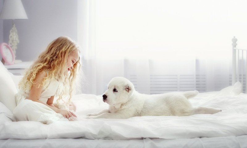 Обои взгляд, собака, девочка, щенок, комната, животное, кровать, пес, look, dog, girl, puppy, room, animal, bed разрешение 2048x1378 Загрузить