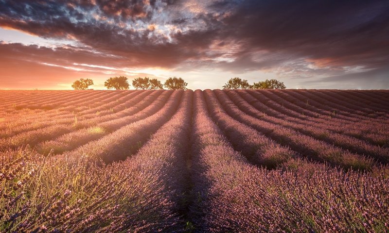 Обои свет, природа, поле, лаванды, light, nature, field, lavender разрешение 1920x1200 Загрузить