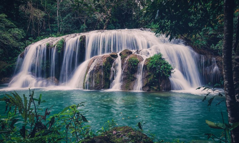 Обои река, природа, лес, водопад, stijn van der biest, river, nature, forest, waterfall разрешение 1920x1200 Загрузить