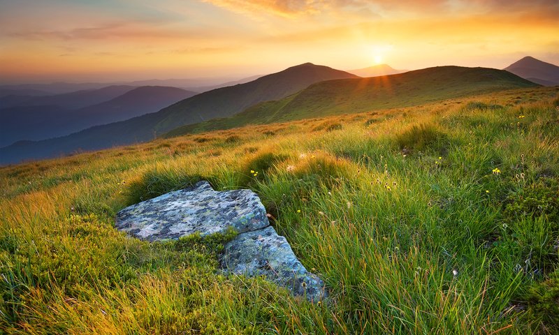 Обои трава, солнце, холмы, природа, пейзаж, луга, biletskyi ievgenii, grass, the sun, hills, nature, landscape, meadows, biletskyi use разрешение 3840x2400 Загрузить