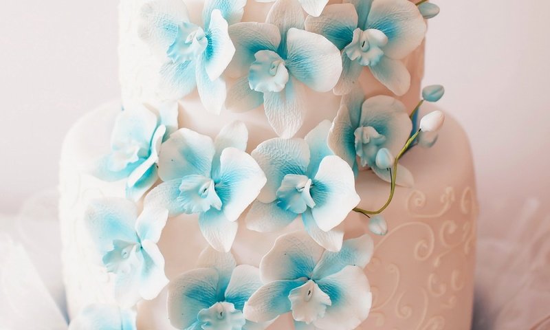 Обои цветы, дизайн, свадьба, сладкое, украшение, торт, орхидеи, flowers, design, wedding, sweet, decoration, cake, orchids разрешение 1920x1080 Загрузить