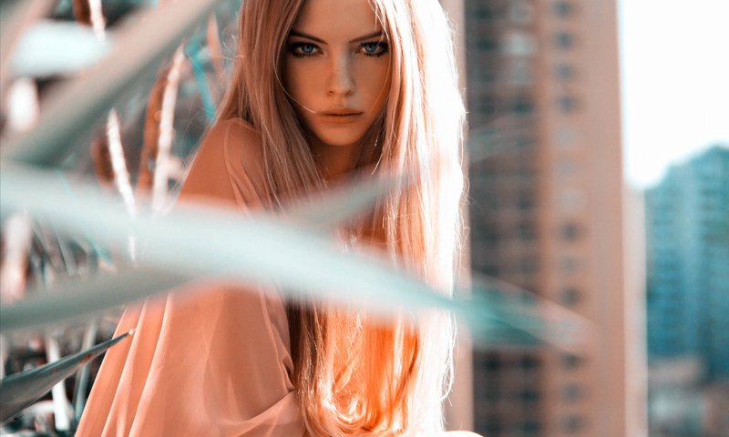 Обои девушка, взгляд, модель, волосы, лицо, skye stracke, скай страке, girl, look, model, hair, face, the sky hawk разрешение 1920x1238 Загрузить